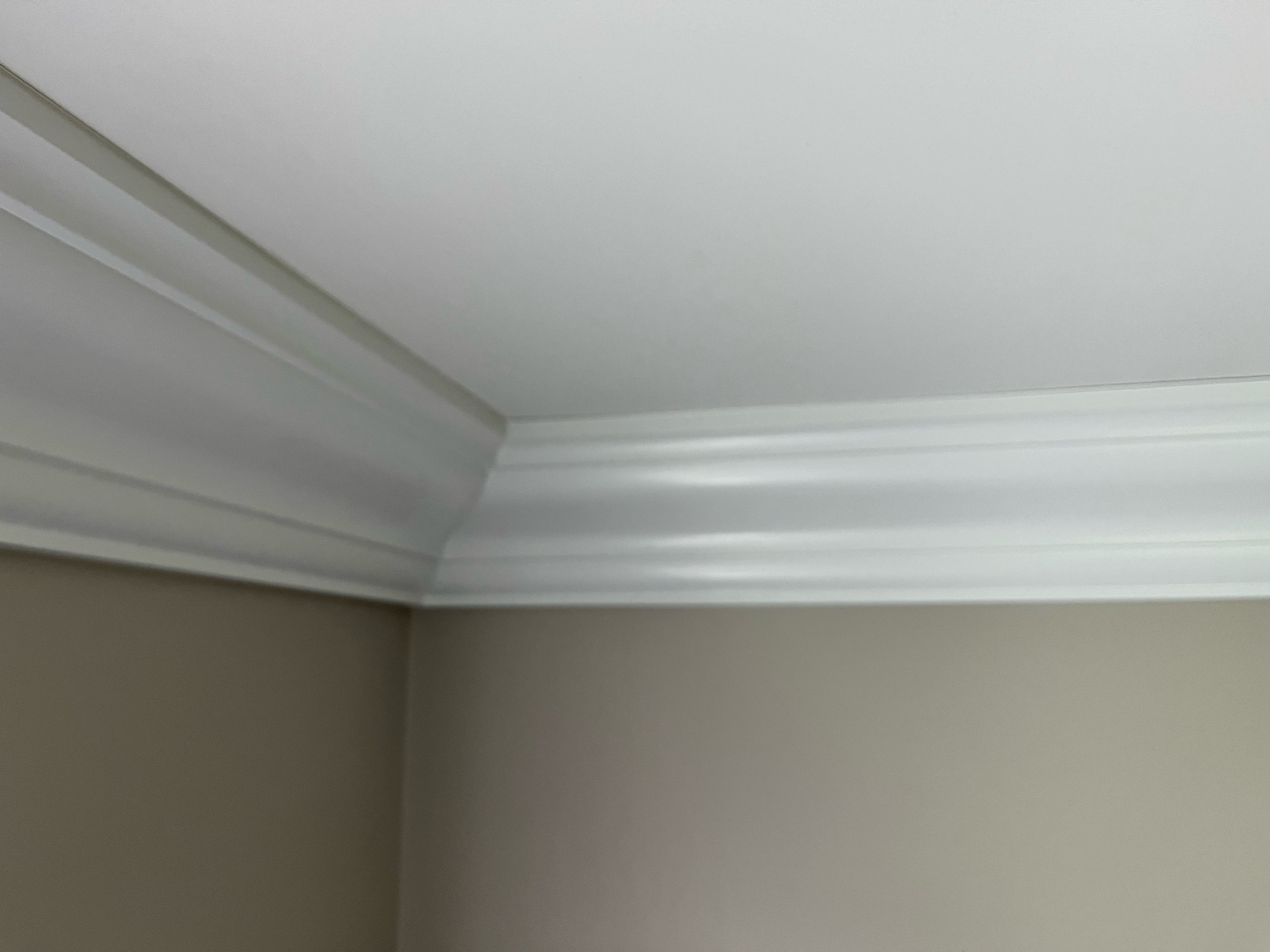 Boylston Drywall & Plastering Company Logo