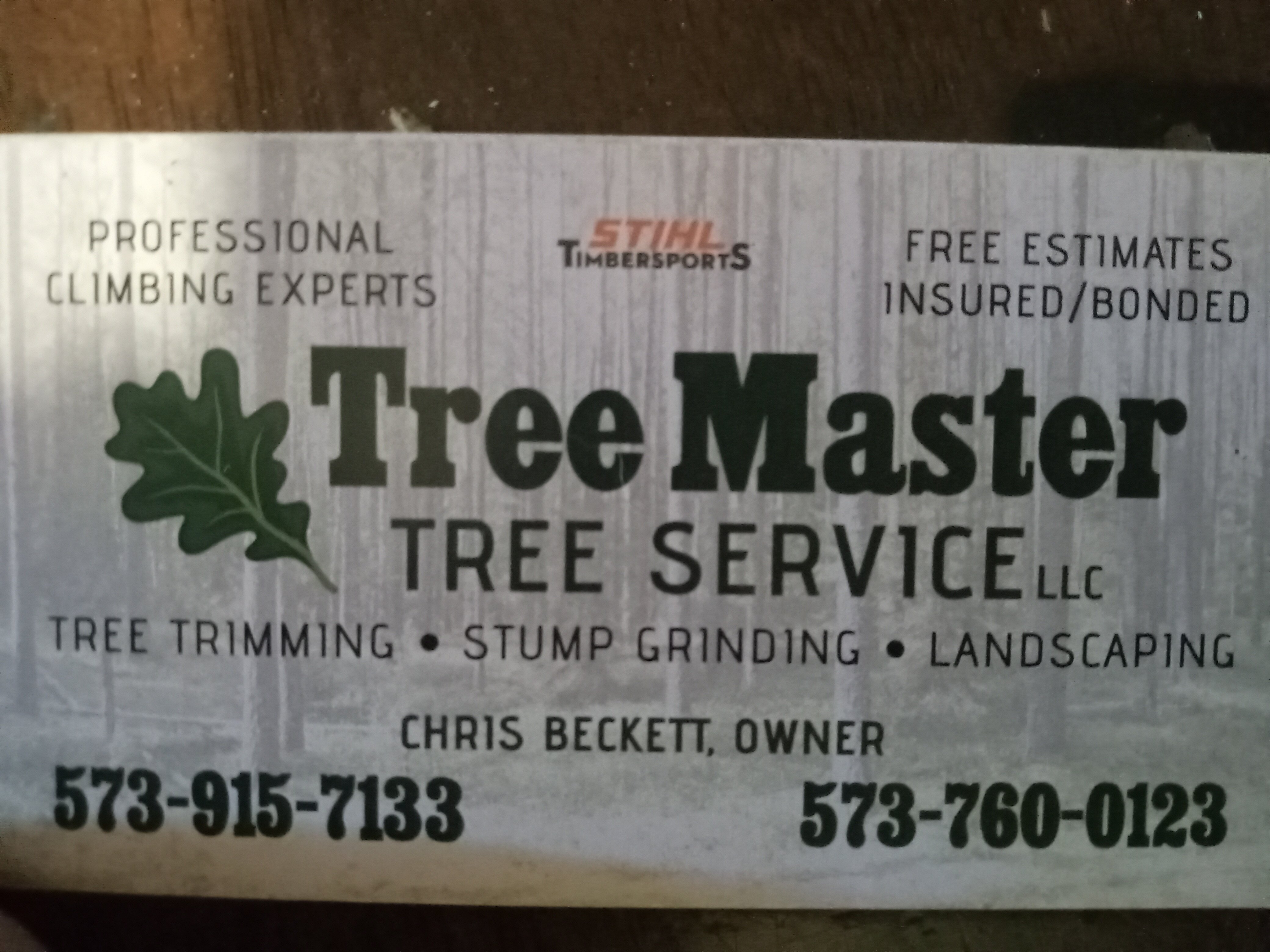 Tree Master Logo