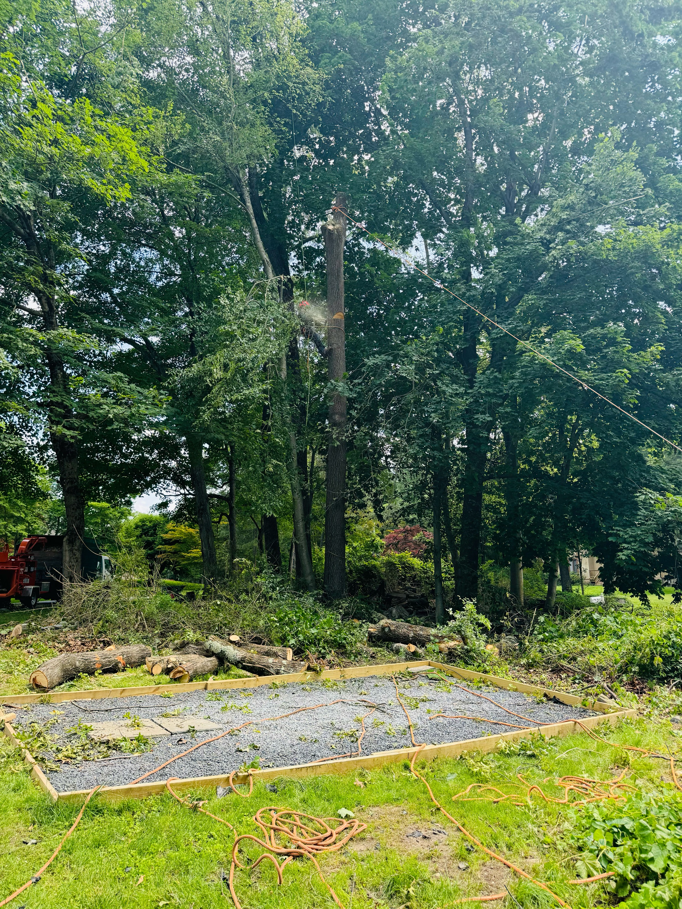RA Green Landscaping & Tree Service Logo