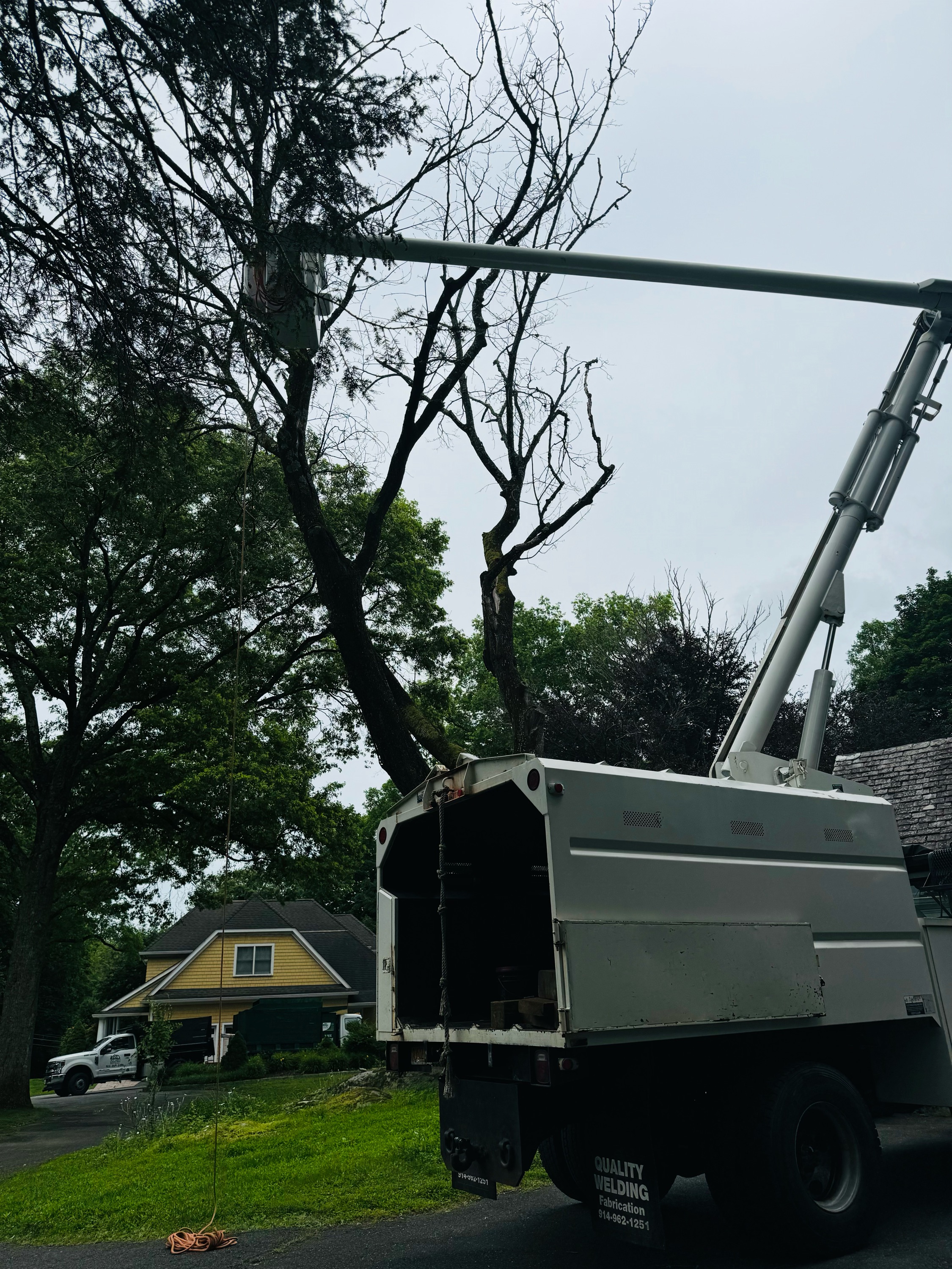 RA Green Landscaping & Tree Service Logo