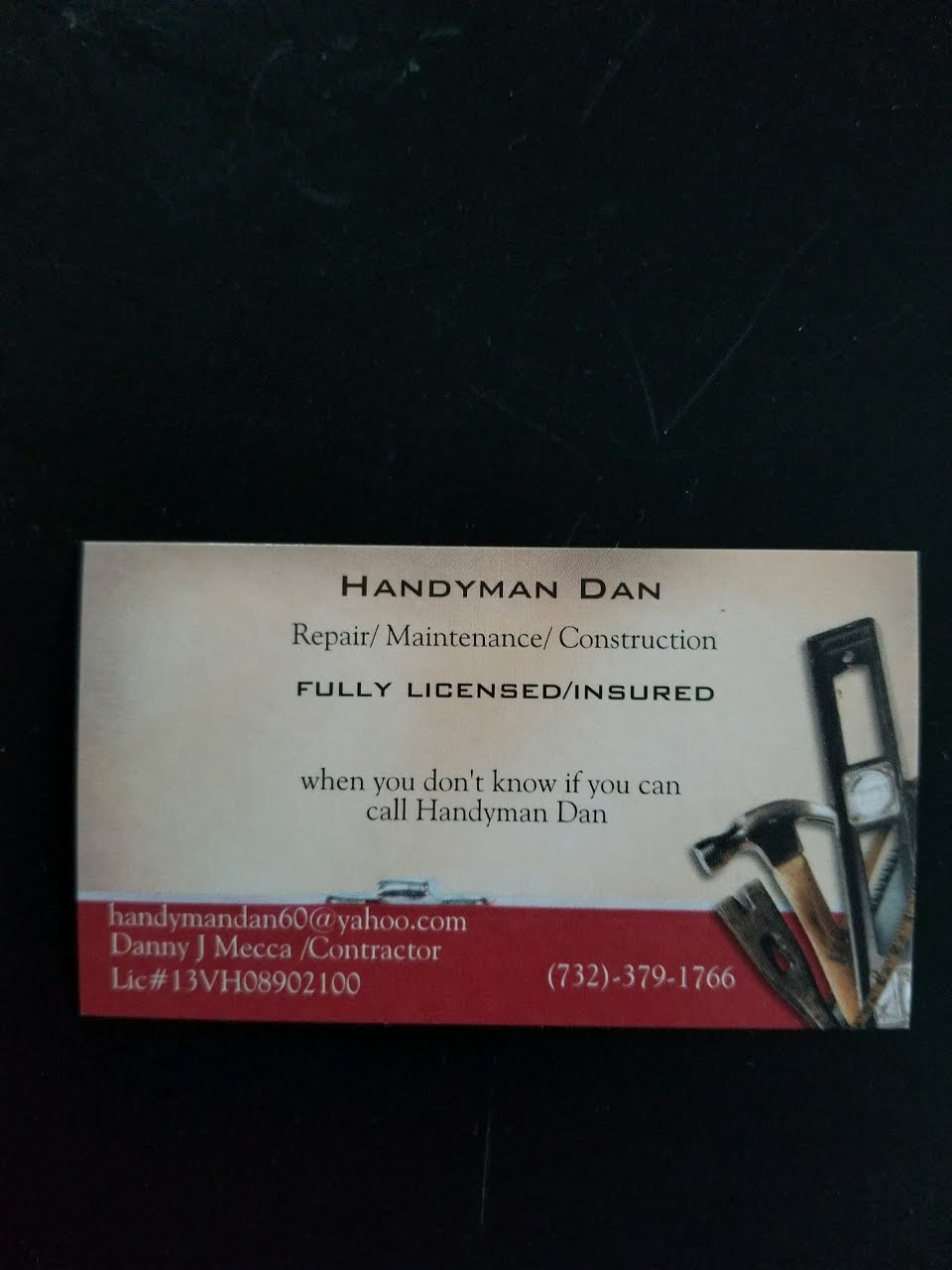 Handyman Dan Logo