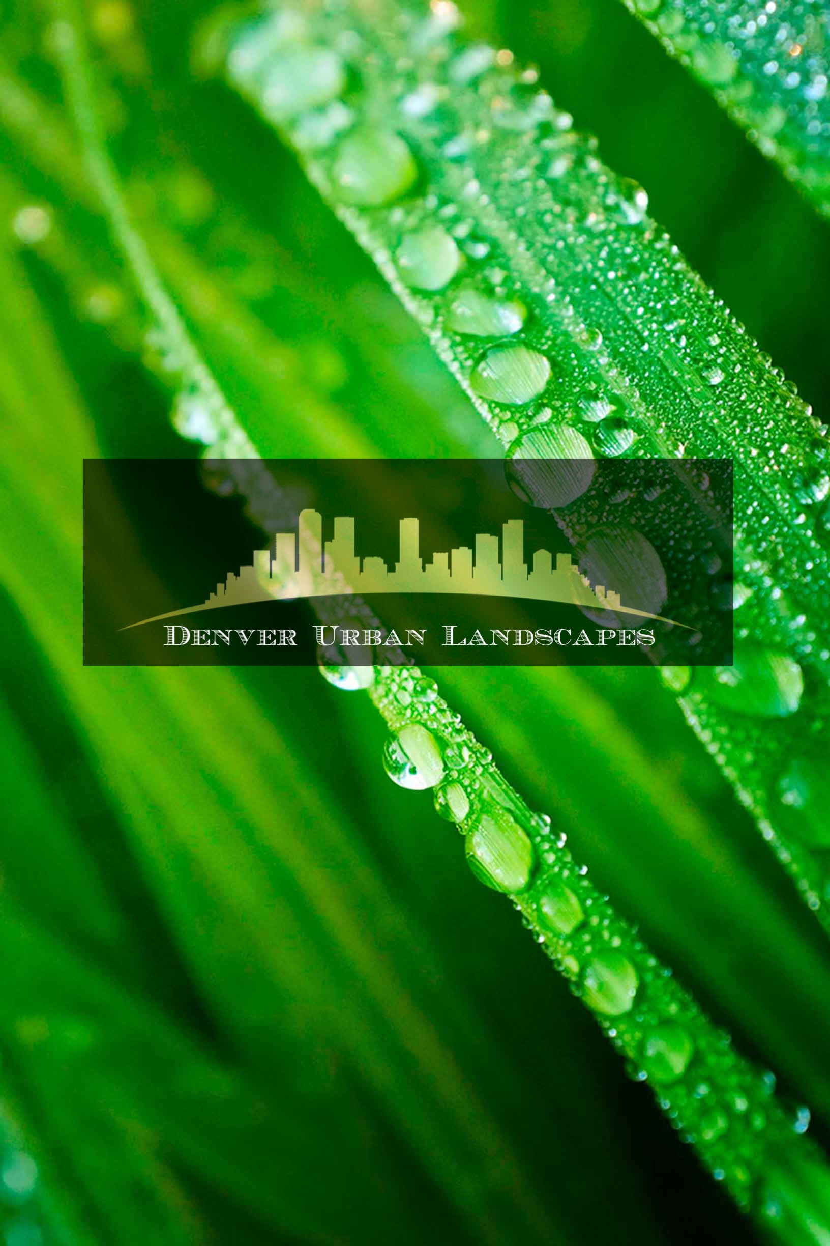 Denver Urban Landscapes, LLC Logo