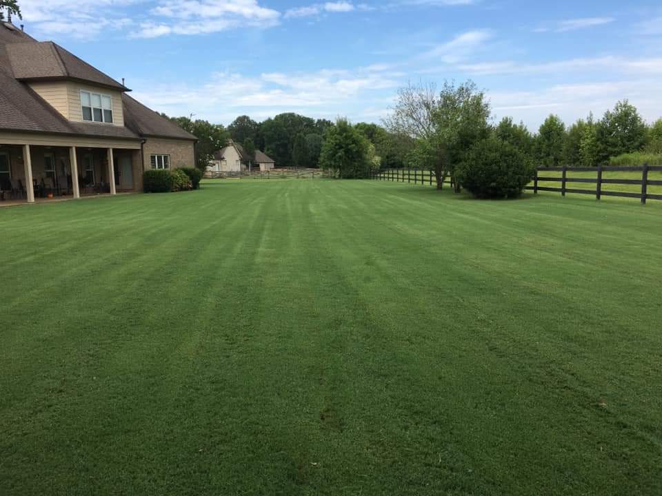 Serenity Lawn and Garden Logo