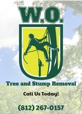 WO Tree and Stump Removal Logo