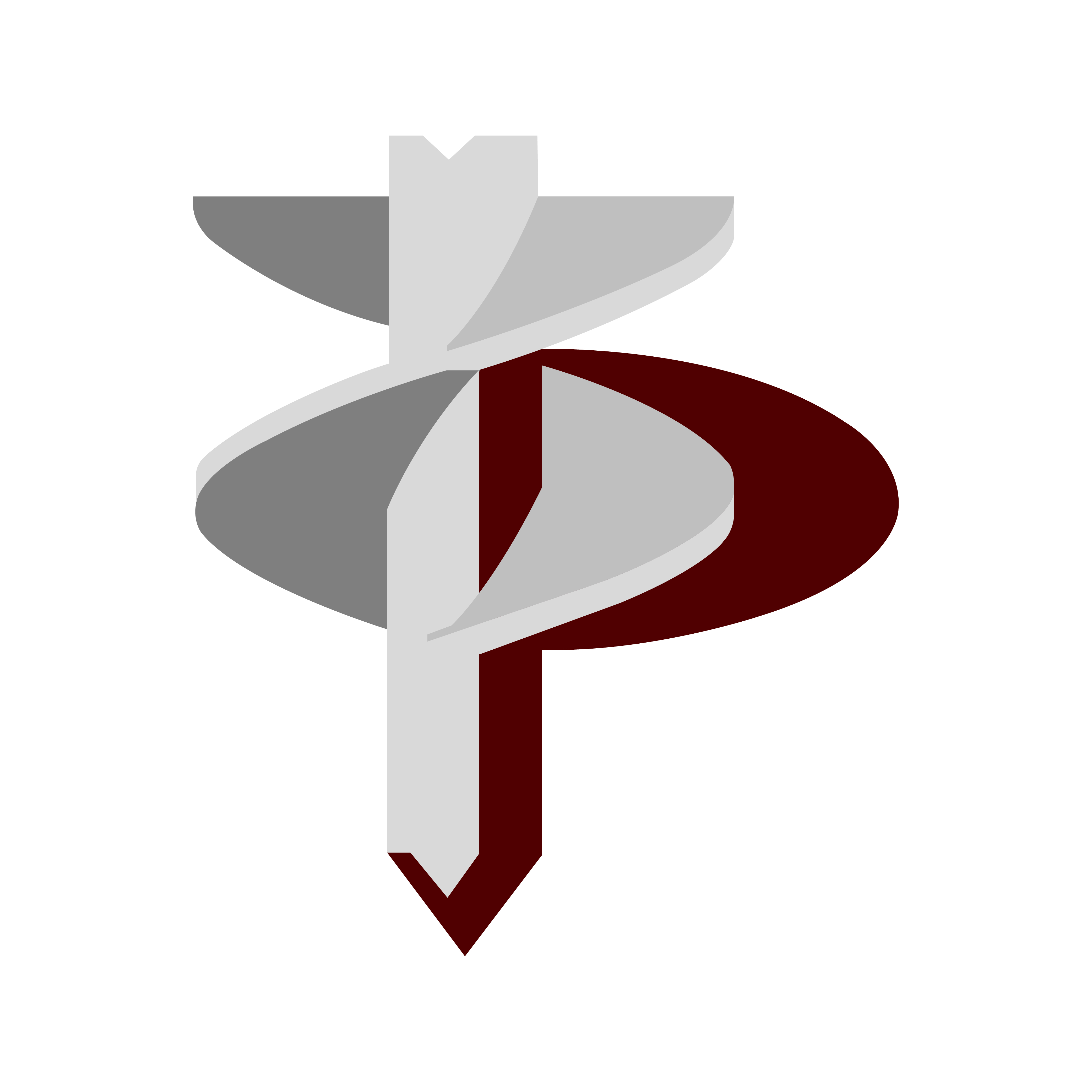 Pilot Foundation Services, LLC Logo