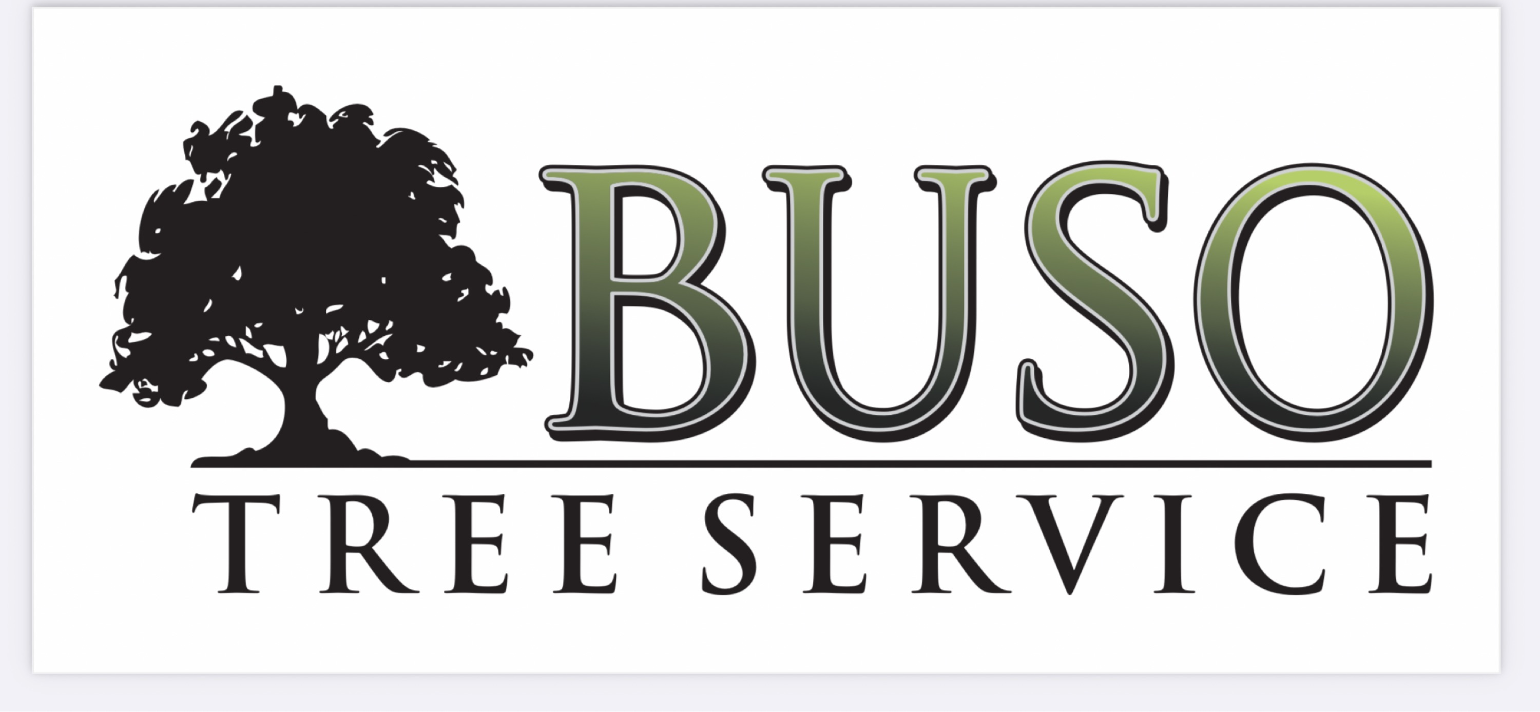 Buso Tree and Landscaping, LLC Logo