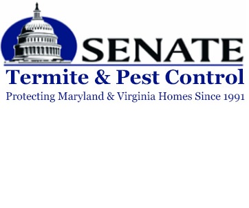 Senate Termite and Pest Control Logo