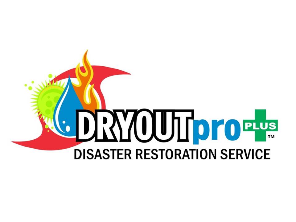 DRYOUTpro PLUS, Inc. Logo