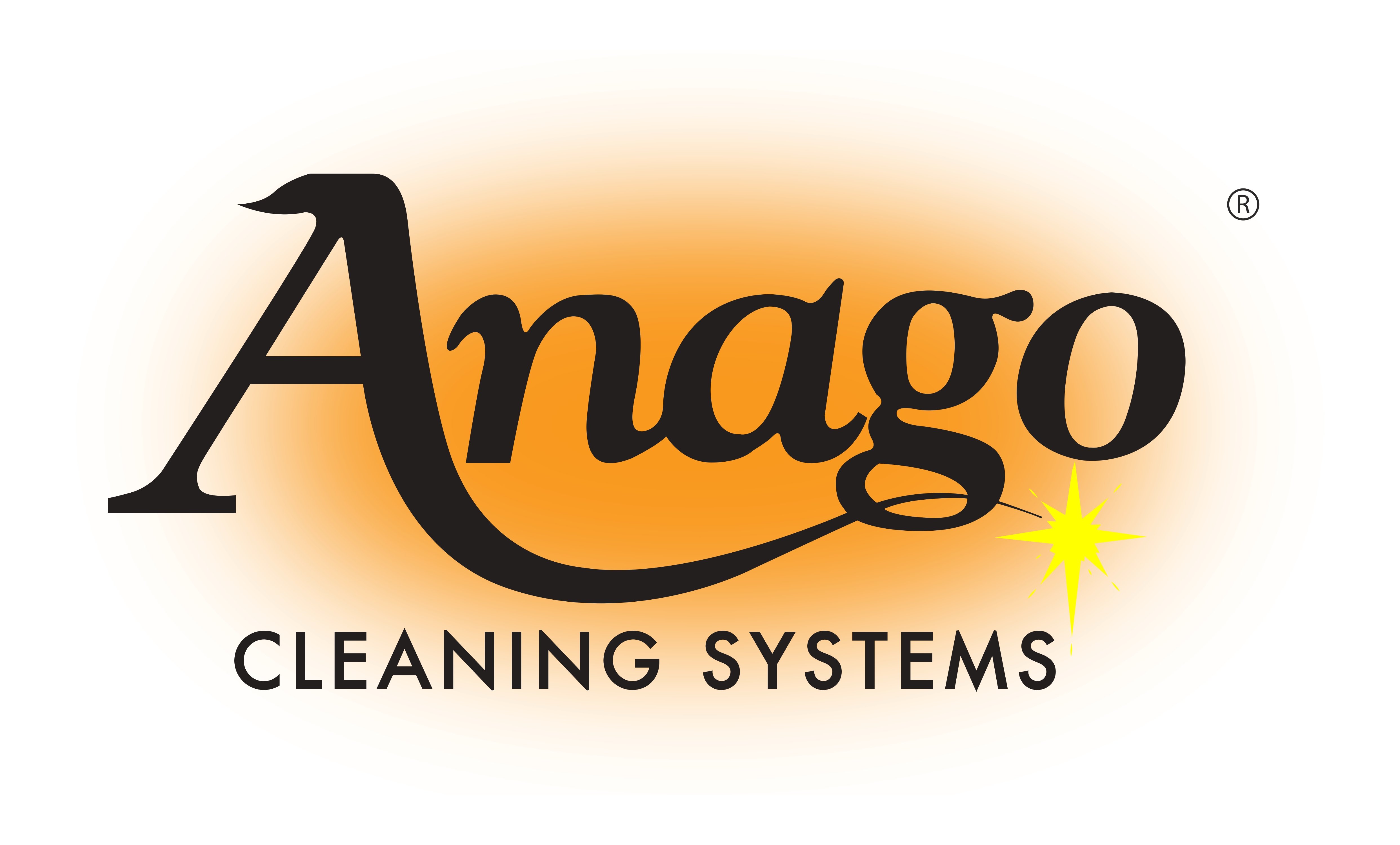 Anago of Metro Detroit Logo