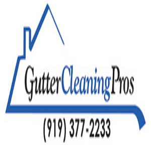 Gutter Cleaning Pros Logo