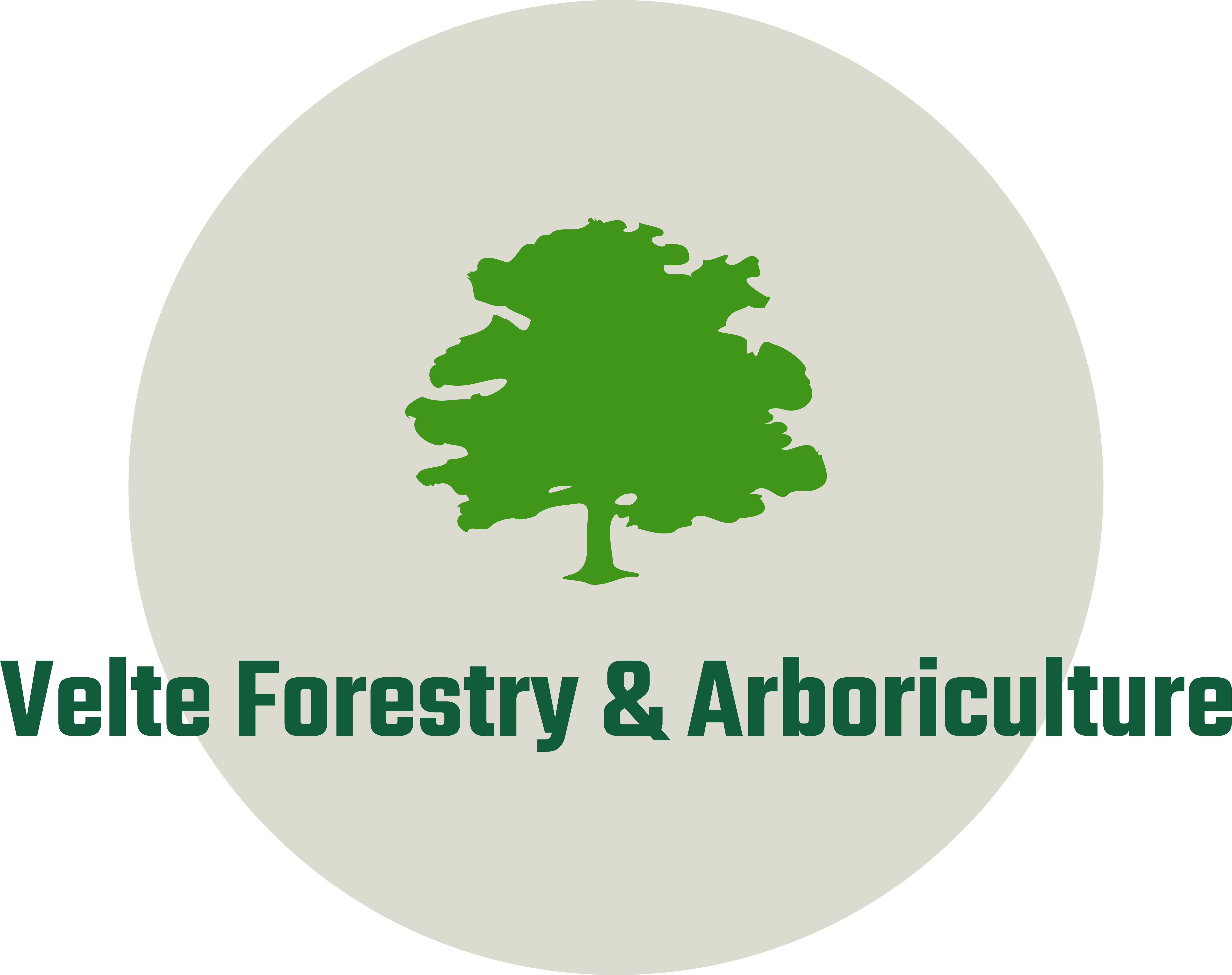 Velte Forestry & Arboriculture Logo
