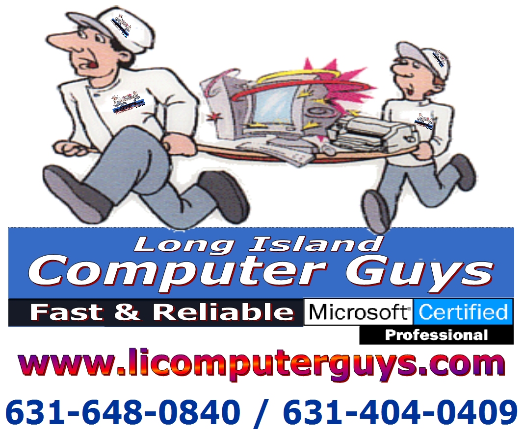 Long Island Computer Guys Logo