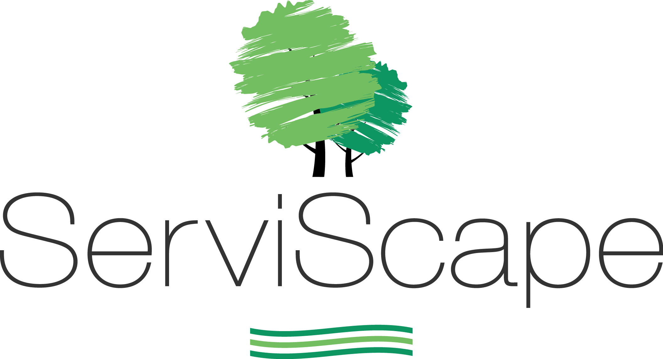 ServiScape, LLC Logo