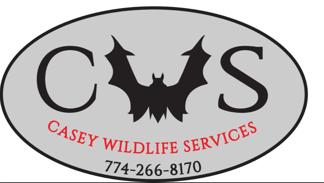 Casey Wildlife Services Logo