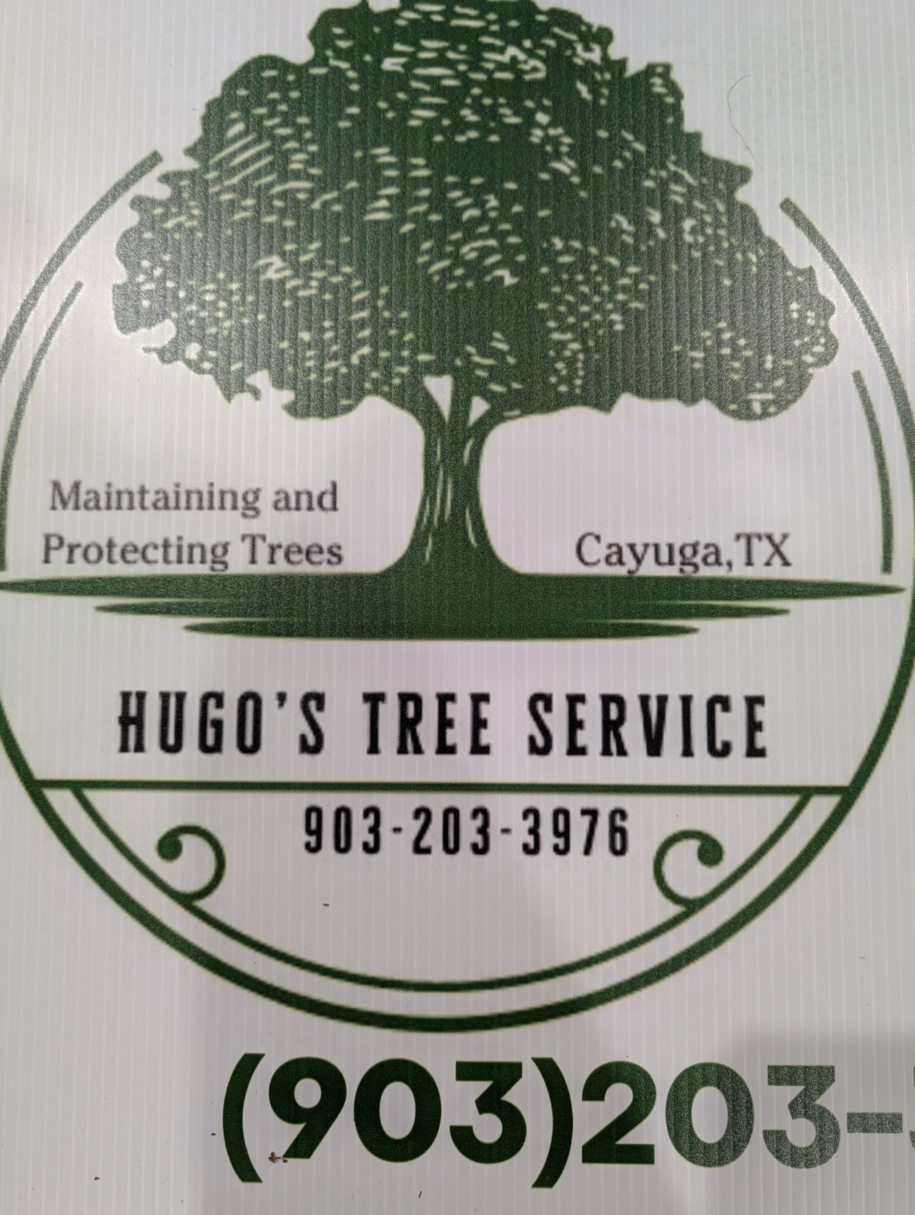 Hugo's Tree Service Logo