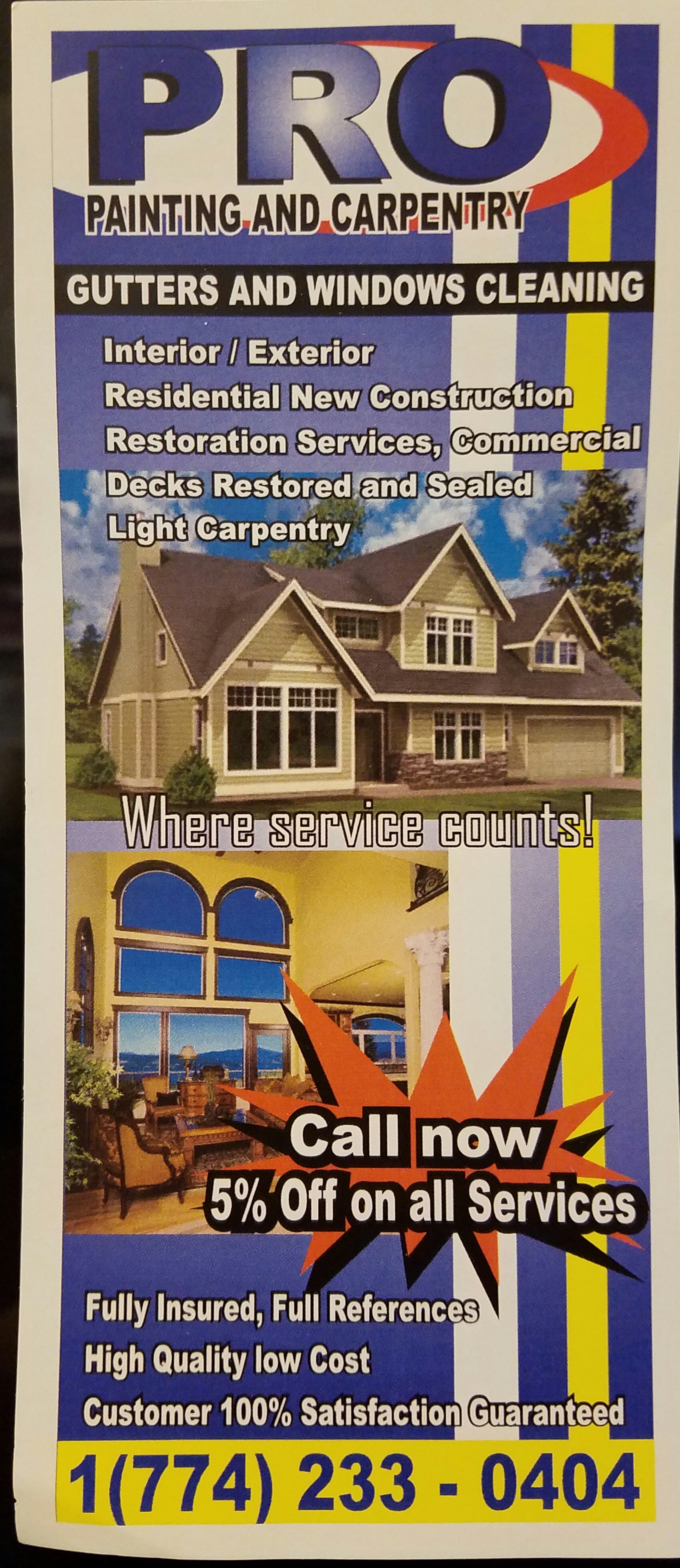 Pro Painting and Carpentry Logo