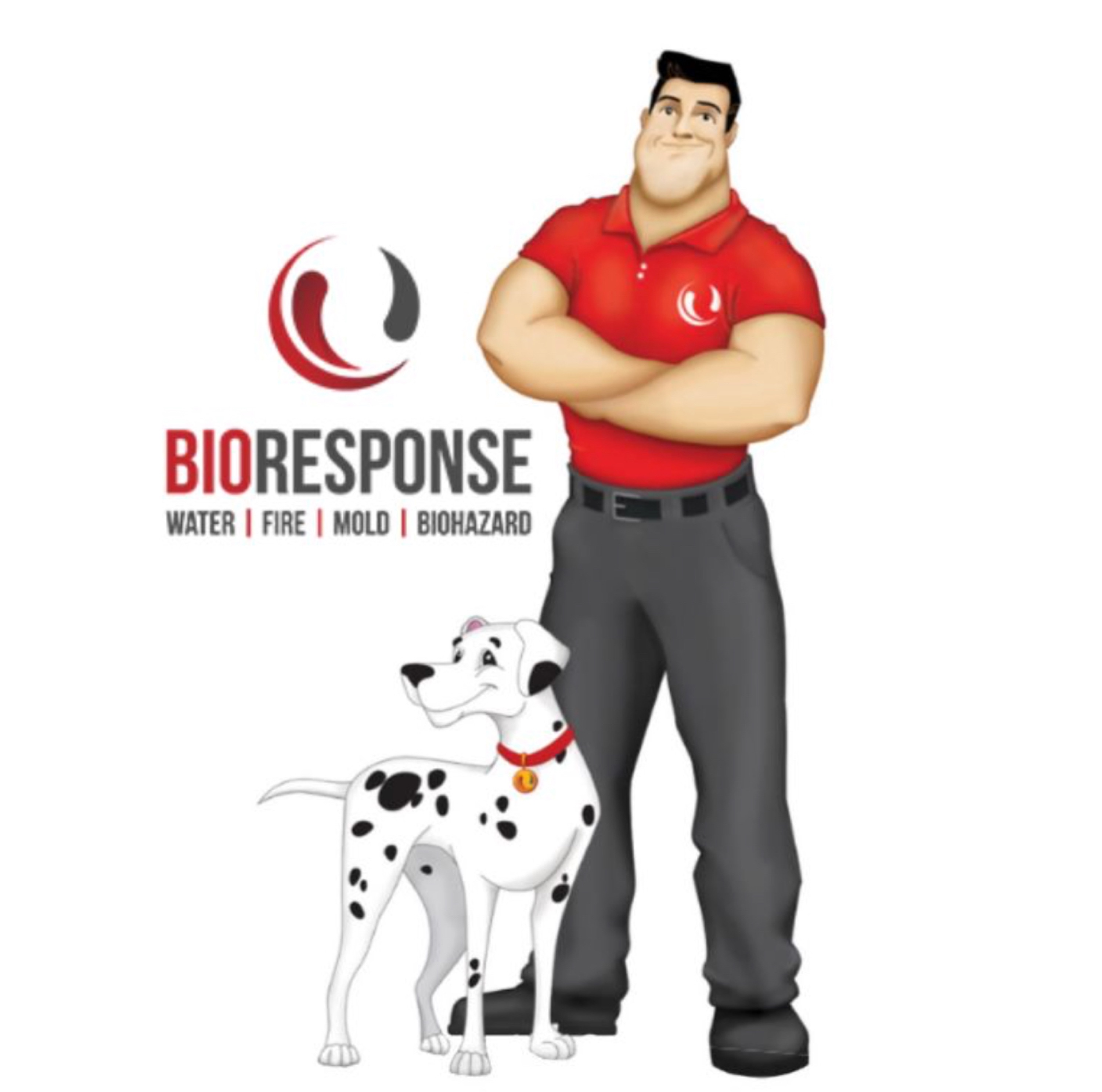 BioResponse, Corp. Logo