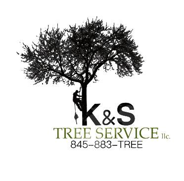 K&S Tree Service Logo