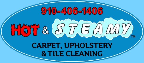 Hot and Steamy Carpet, Tile & Upholstery Cleaning Logo