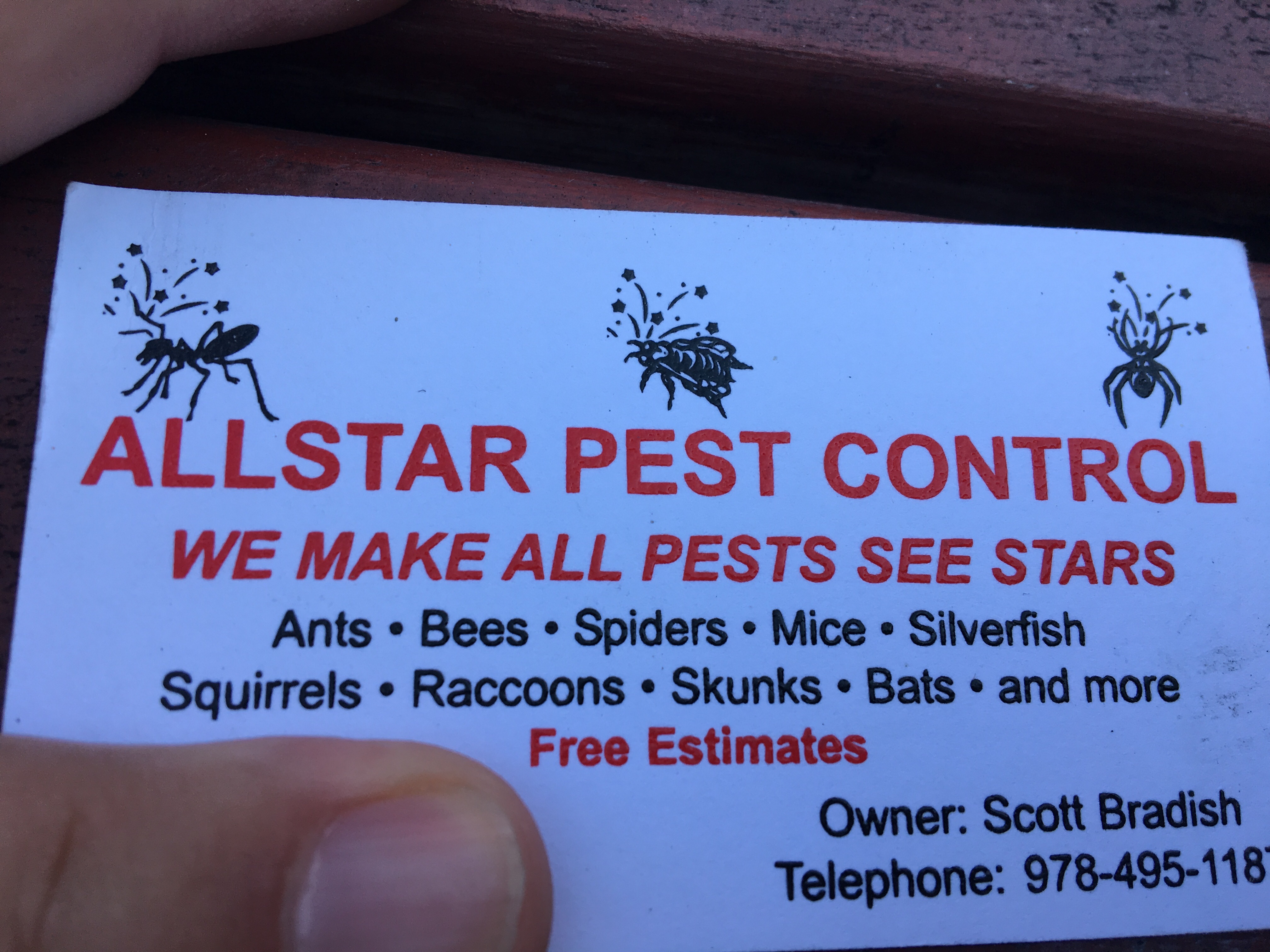 6 Best Wasp & Bee Removal Services in Groveland MA 6 Best Wasp & Bee Removal Services in Groveland MA