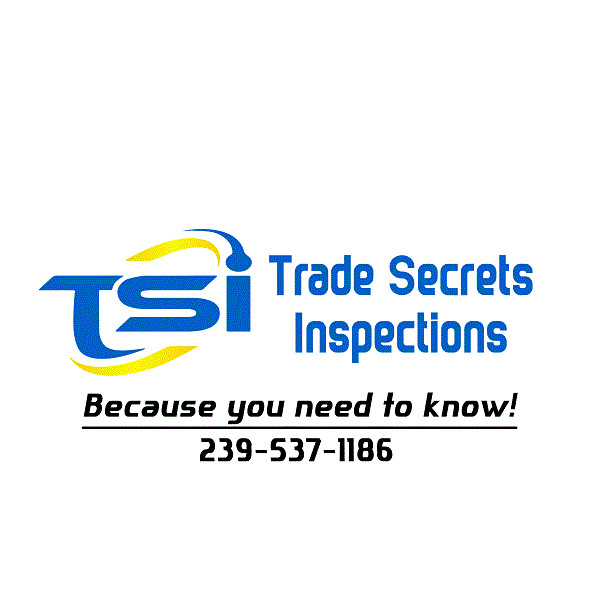Trade Secrets Inspections, LLC Logo