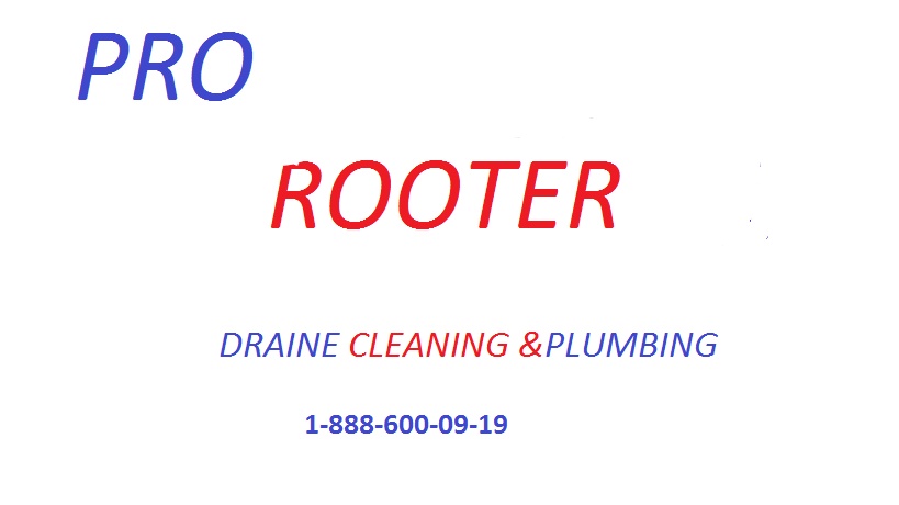 Pro Rooter Logo