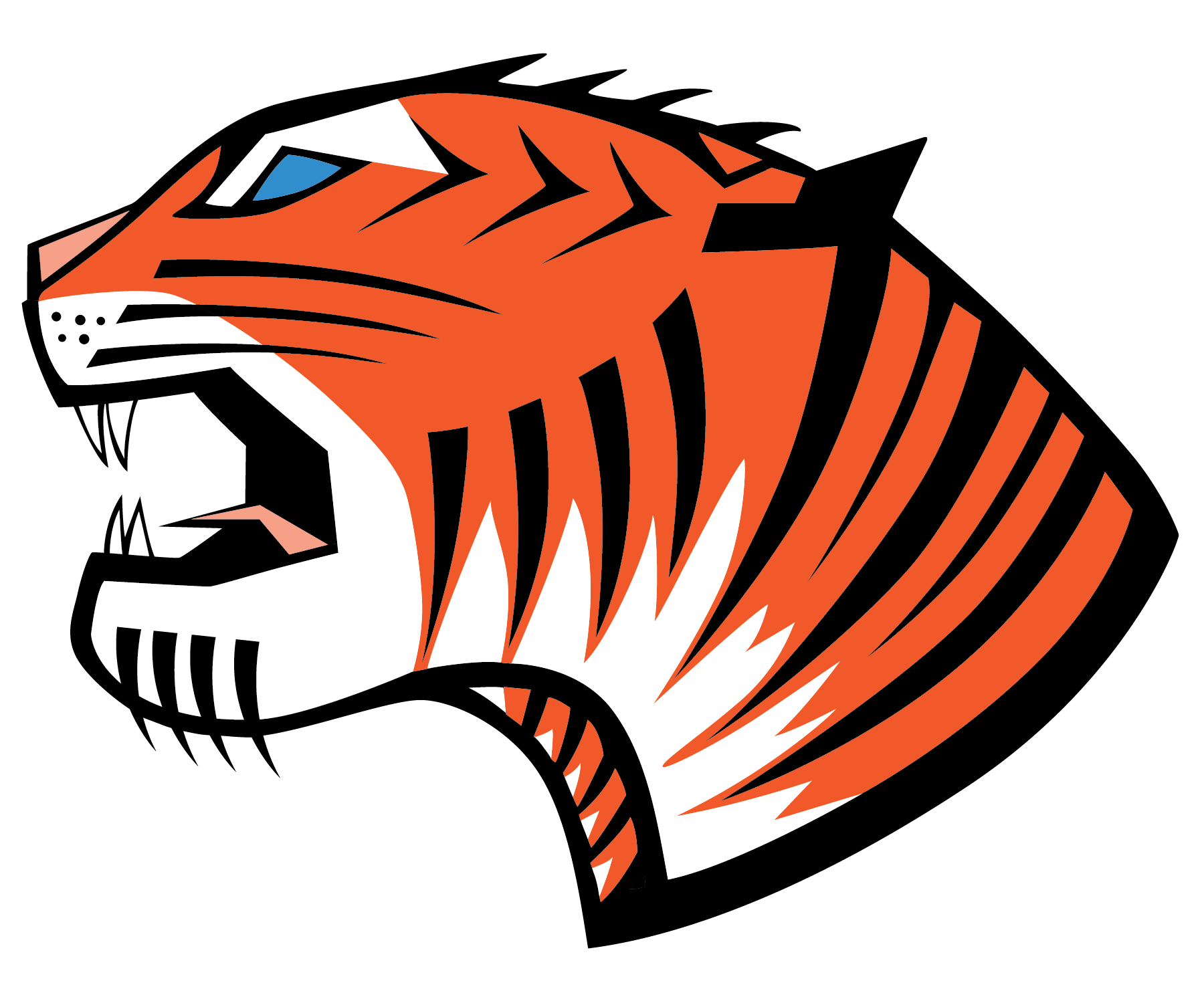 Tiger C Construction, LLC Logo