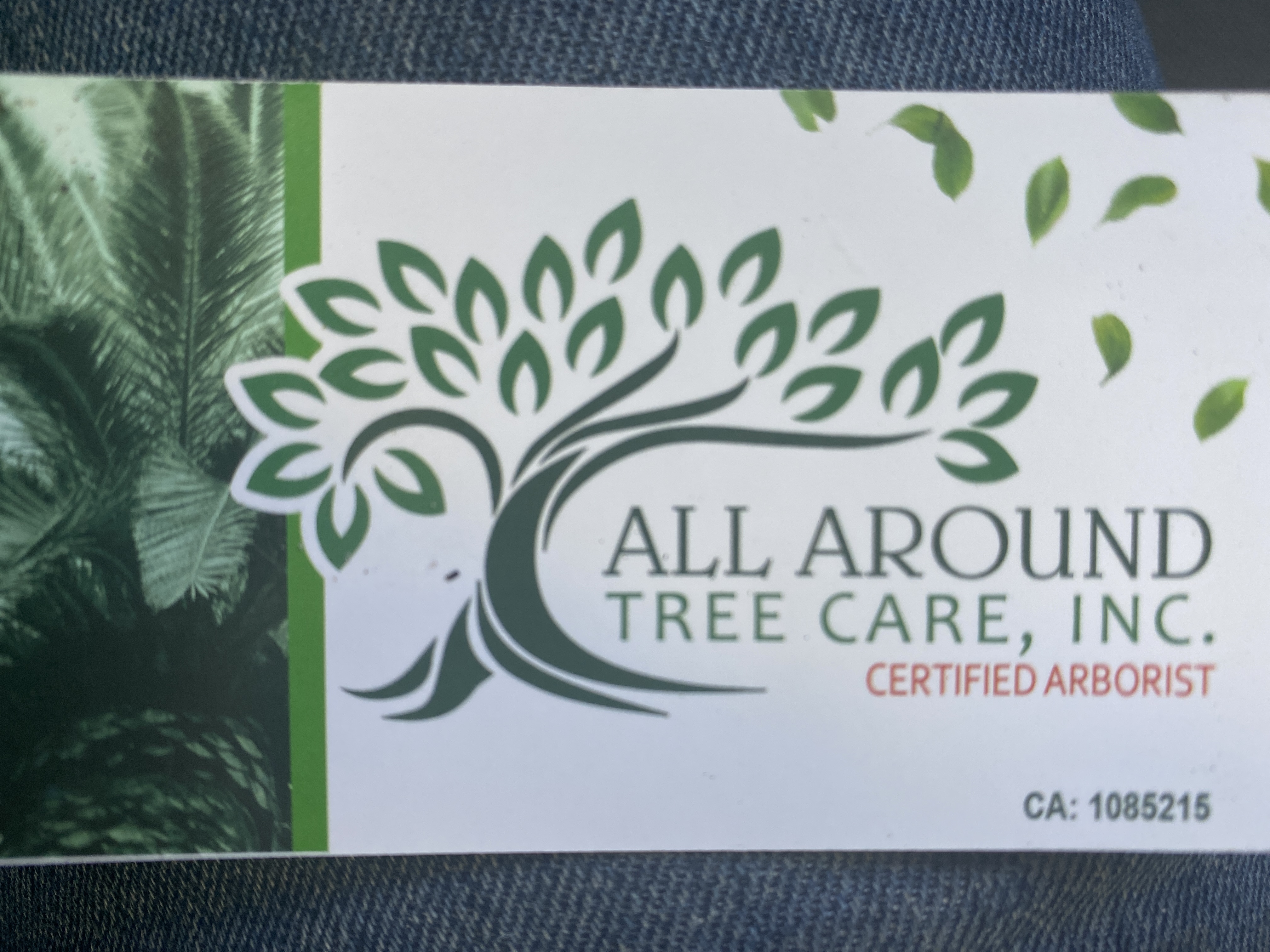 All Around Tree Care, Inc. Logo