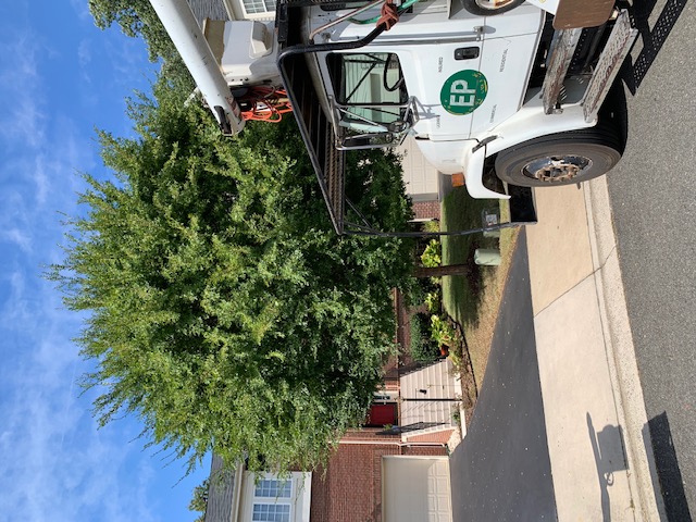 EP Mowing and Landscaping Logo