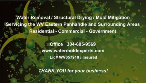 Emergency Water and Mold Removal Logo