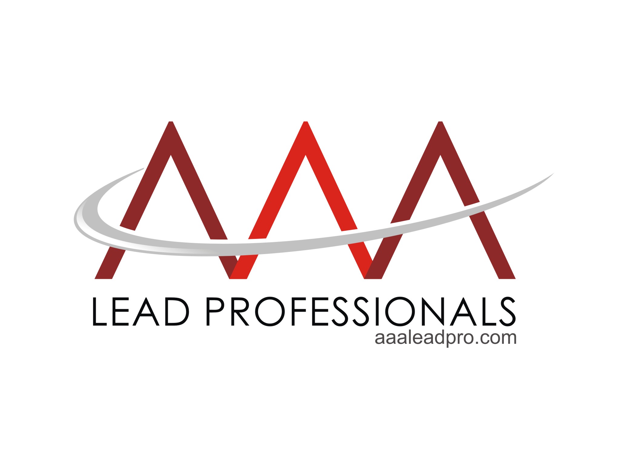 AAA Lead Professionals Logo