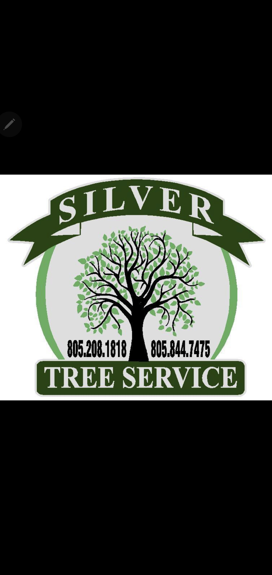 Silver Tree Service, Inc. Logo
