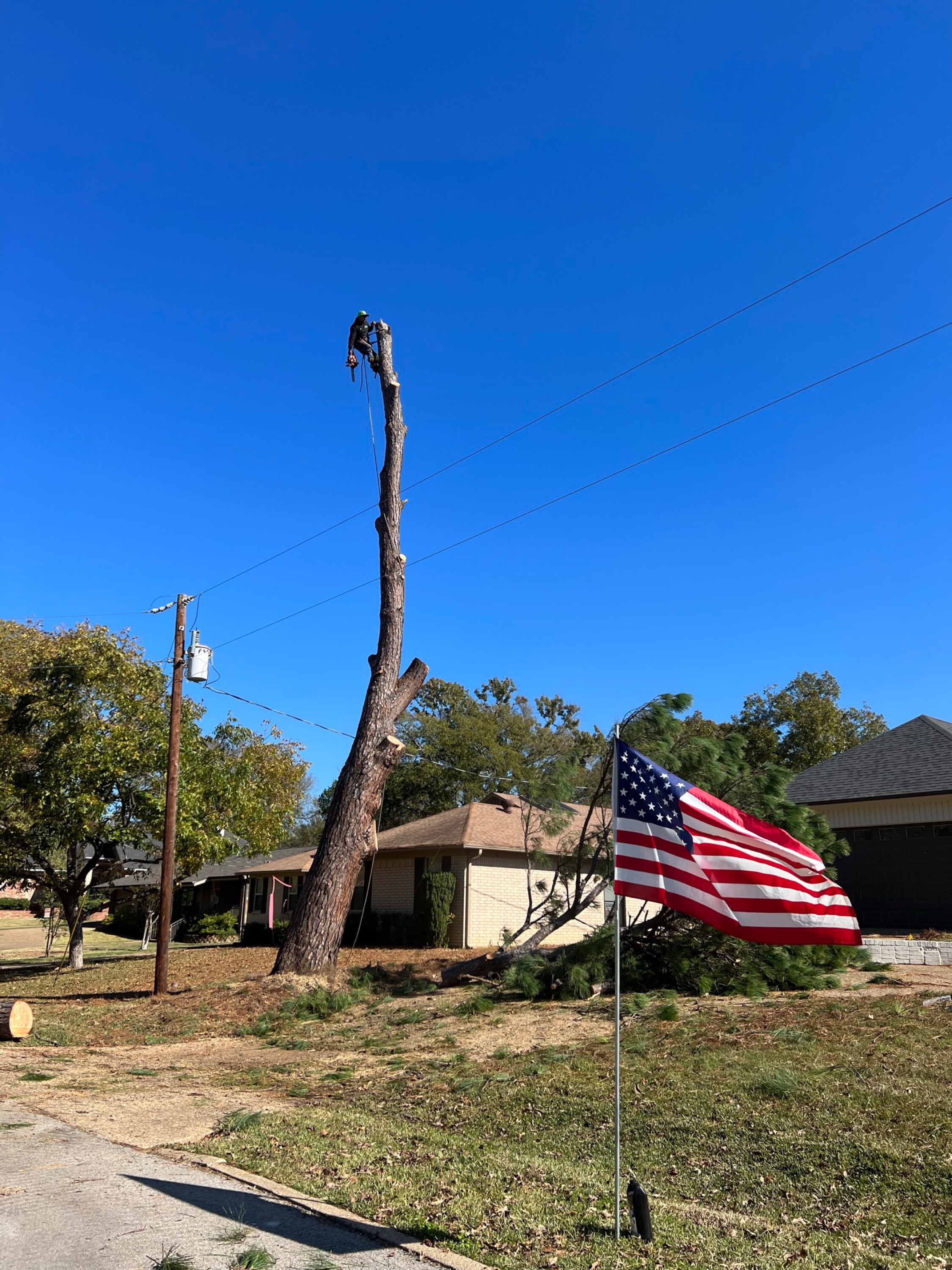 MR Tree and Multi Service Logo