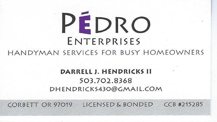 Pedro Enterprises Logo