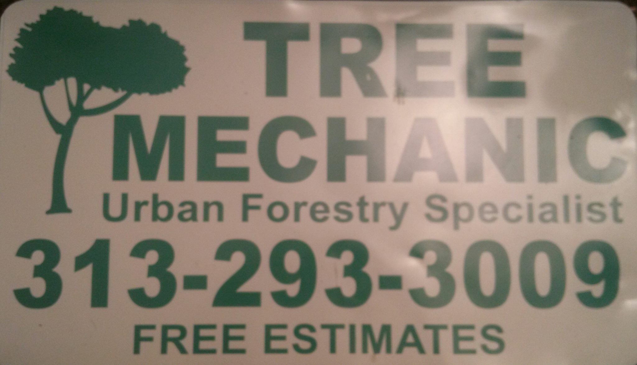 The Tree Mechanic Logo