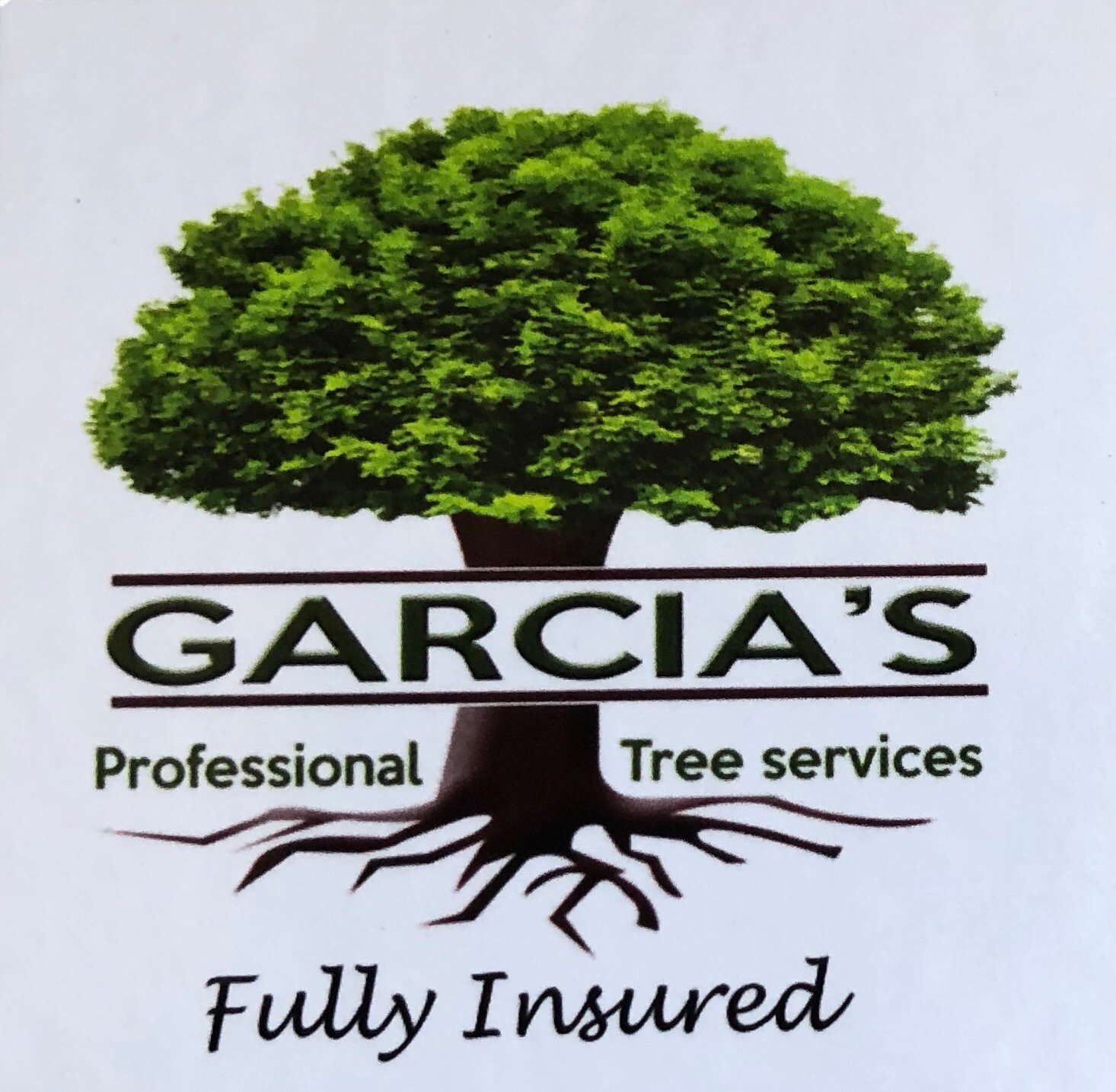 Garcia's Tree Service Logo