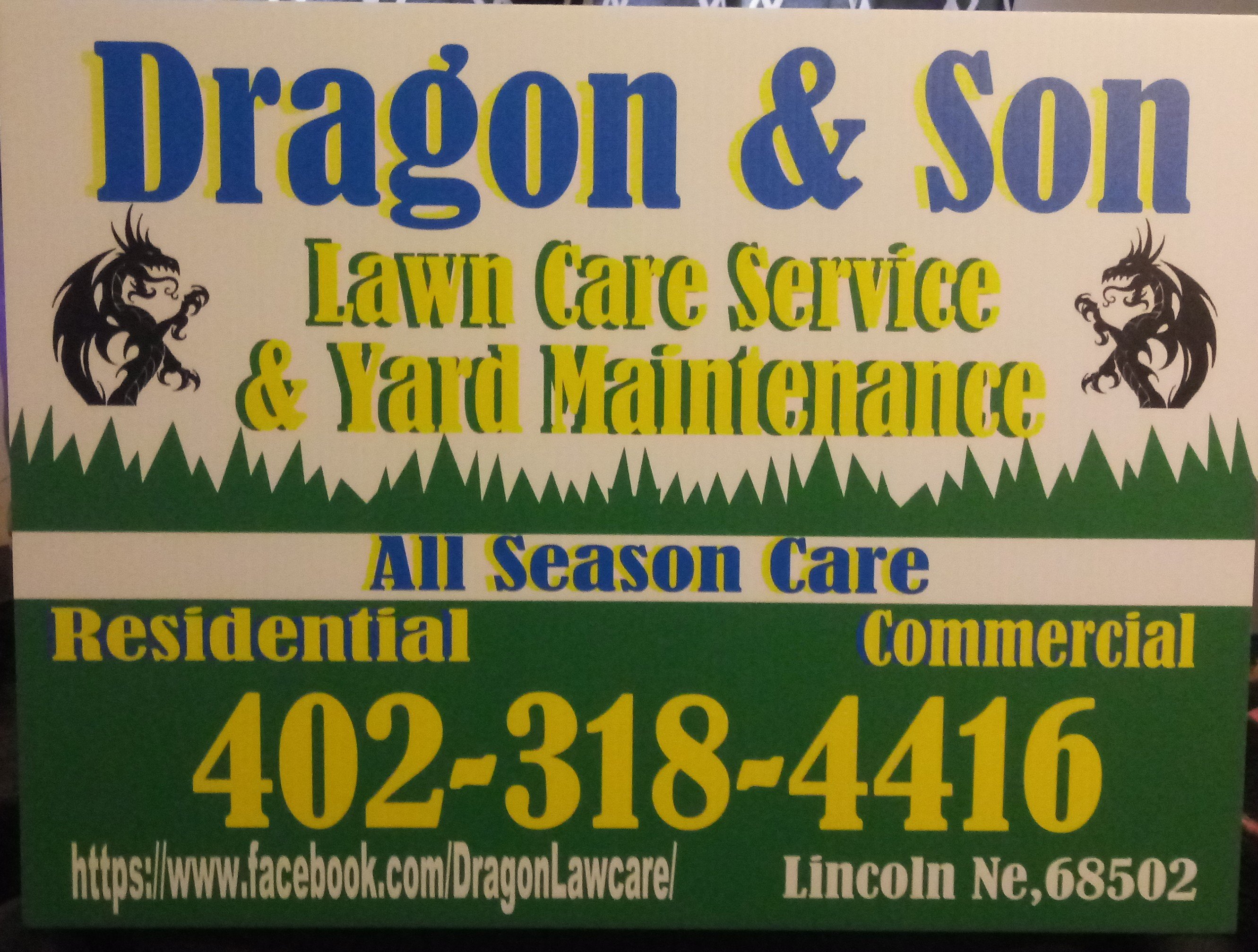 Dragon & Son Lawn Care Service and Yard Maintenance Logo