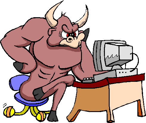 Bulls Computer Consulting Logo