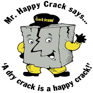 The Crack Team Logo