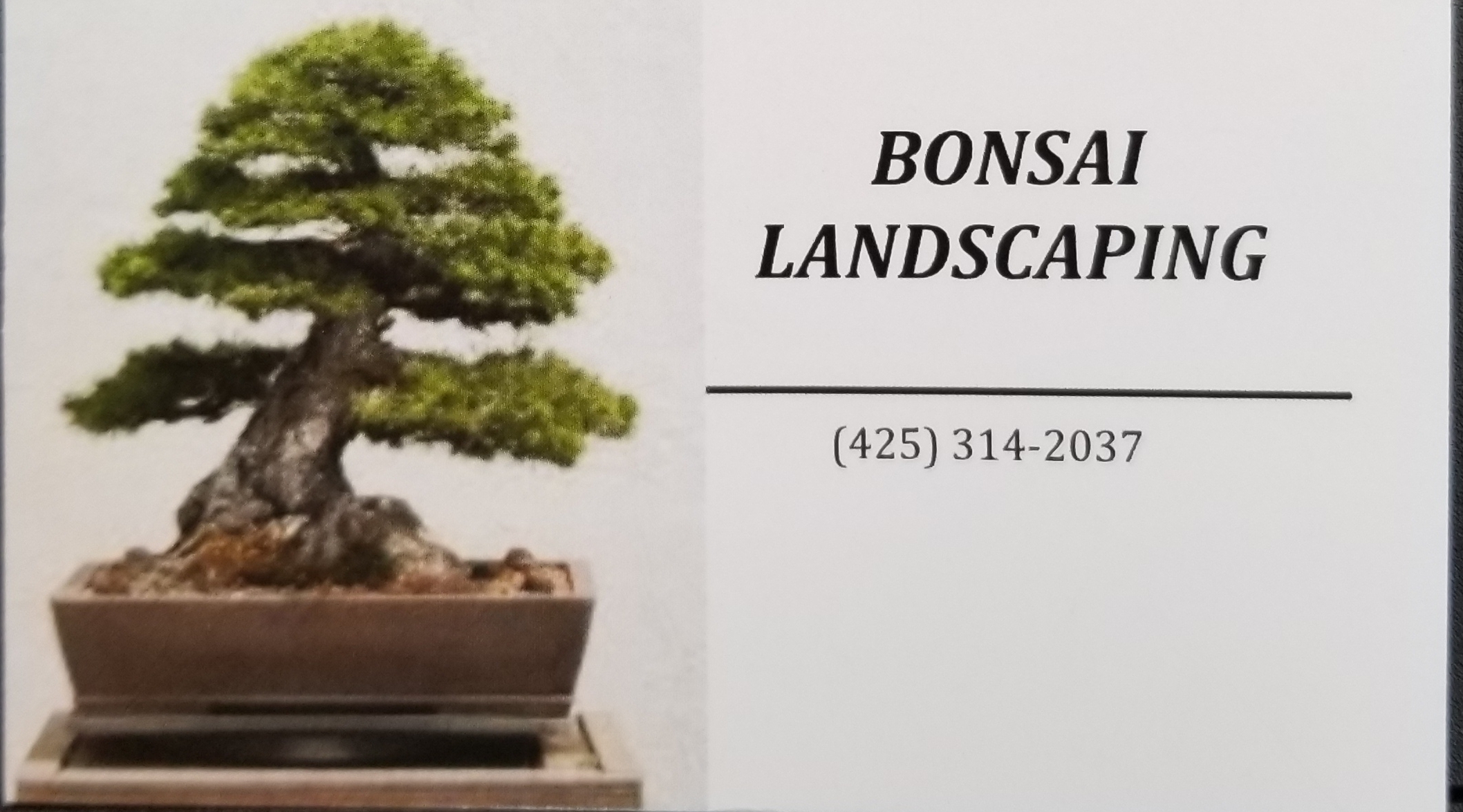 Bonsay Landscaping Logo