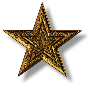 Gold Star Home Inspections Logo