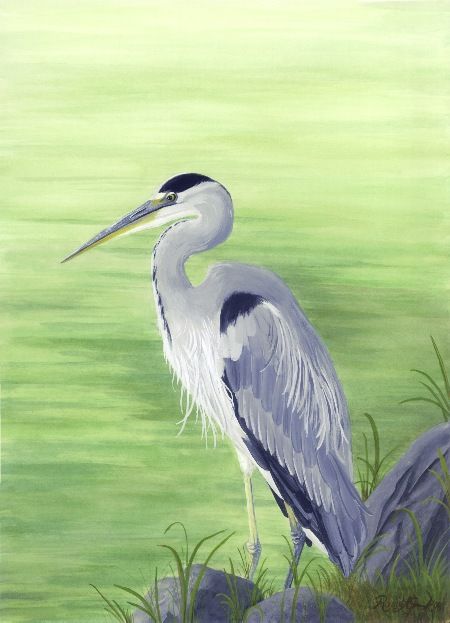 Still Waters Landscaping Logo