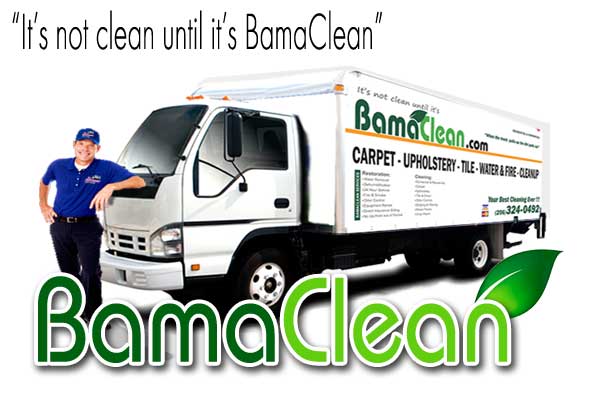 Bamaclean, Inc. Logo