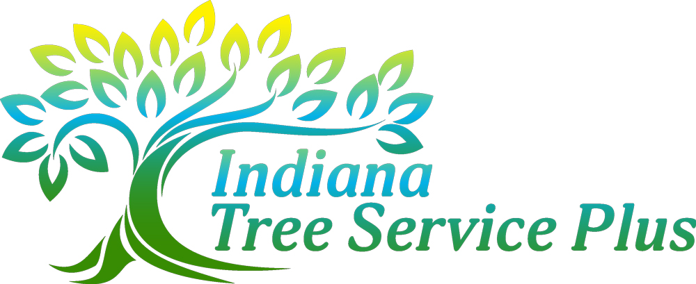 Indiana Tree Service Plus Logo
