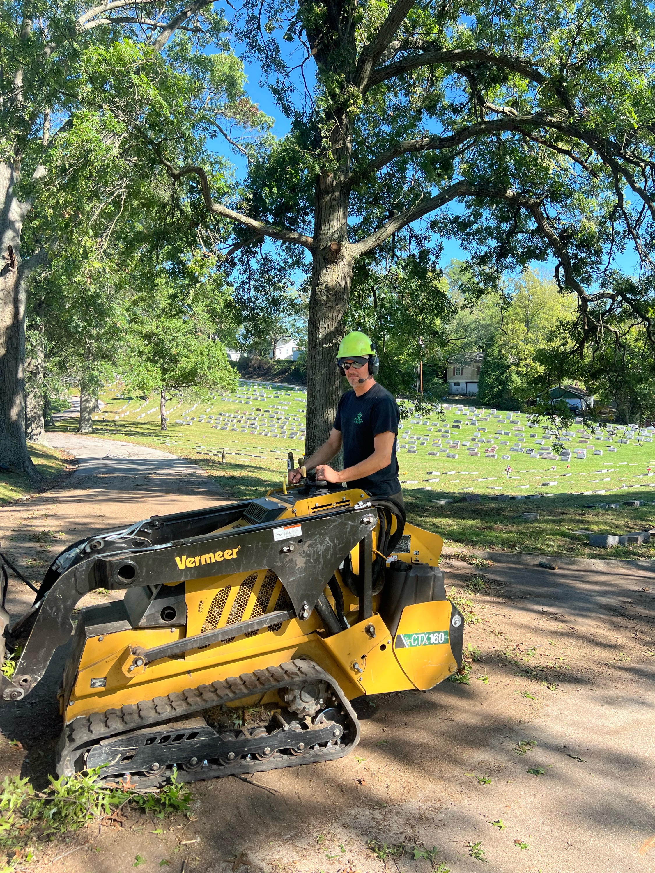 Cutt Rite Tree Service, LLC Logo