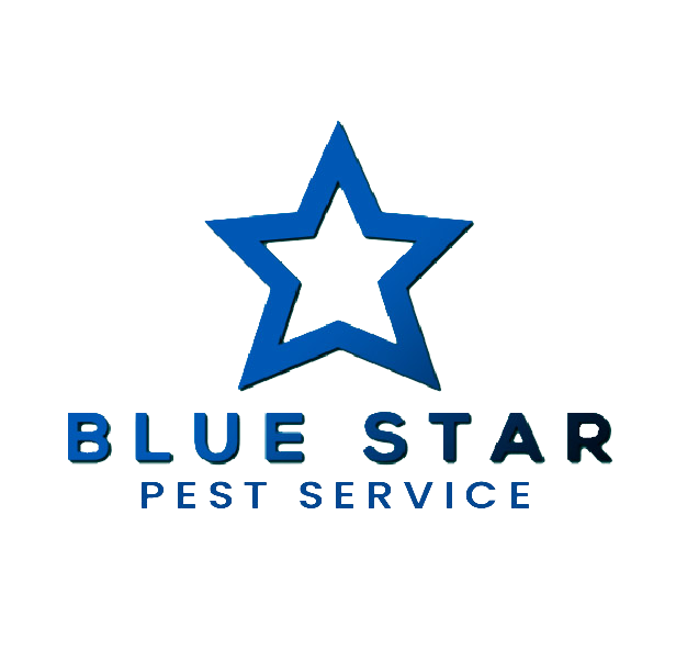 Blue Star Solutions, Inc. Logo