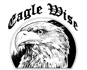 Eaglewise, LLC Logo