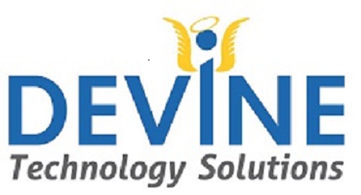 Devine Technology Solutions Logo