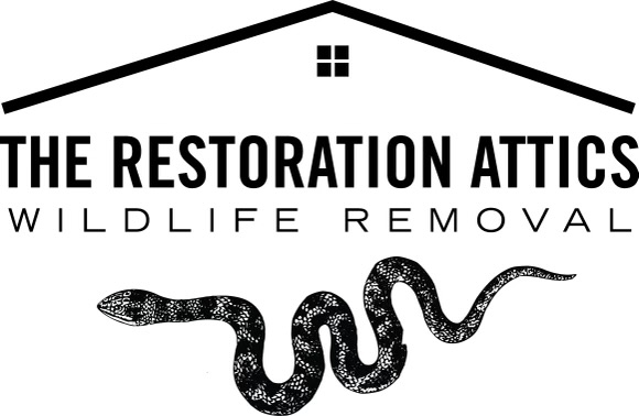 The Restoration Attics Logo