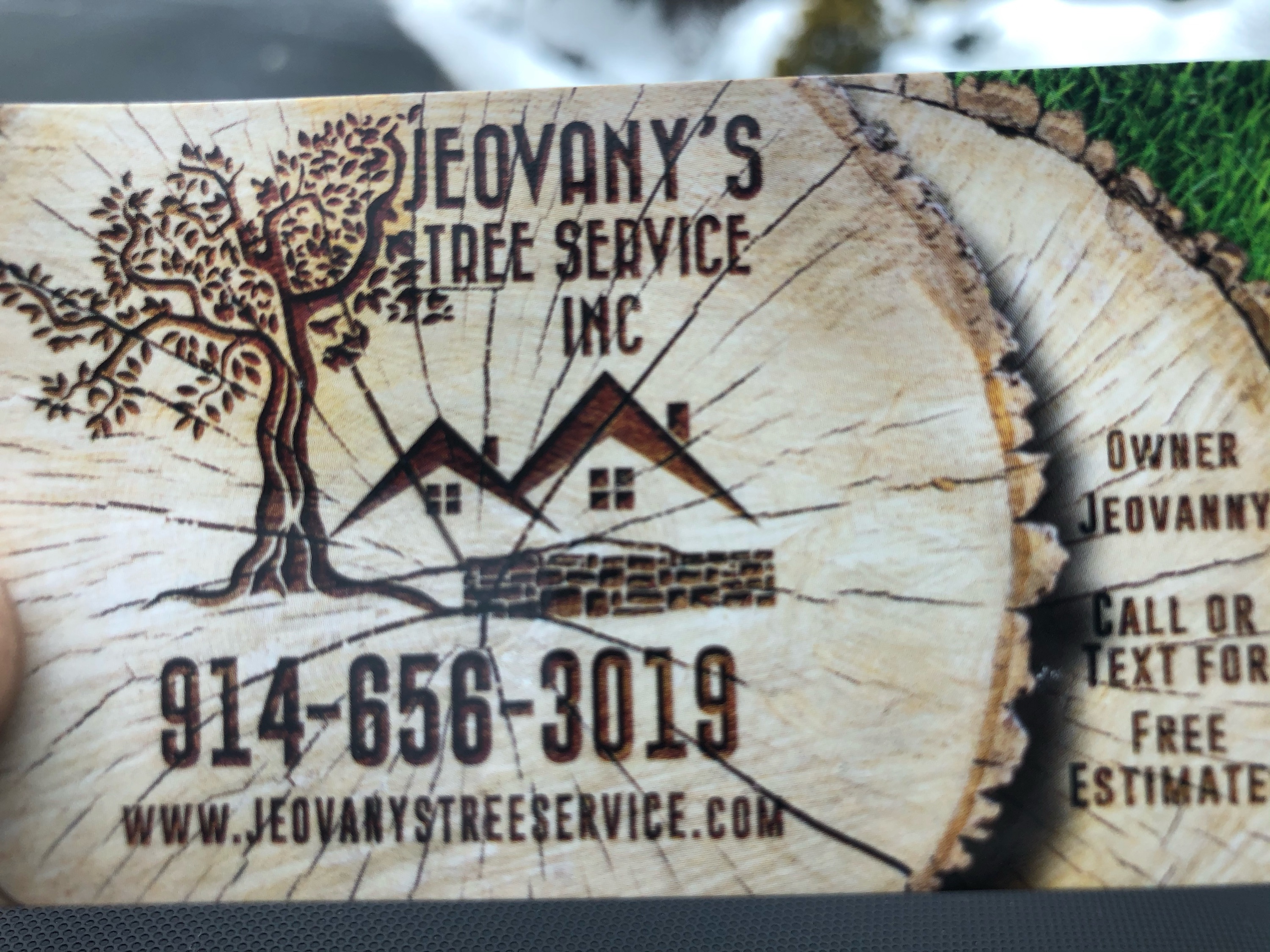 Jeovany's Tree Service Logo
